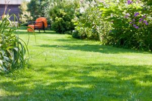 travaux jardin et paysage Warcq